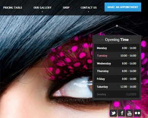 wordpress health website design, wordpress beauty website design in hyderabad, wordpress passion and beauty website design, wordpress hair style website design, wordpress beauty blog development in hyderabad