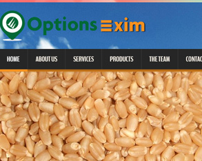 import export site design in hyderabad, import export site development in amaravathi, import and export site design