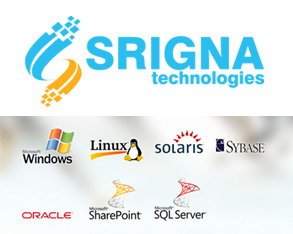 wordpress software company website development in hyderabad, visakhapatnam, vijayawada, guntur, warangal, wordpress IT Company website development, wordpress theme design, wordpress company website design, wordpress company responsive website development
